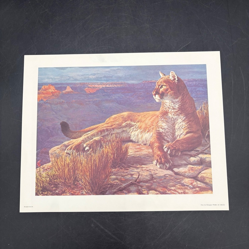 Remington Wildlife Art Collection Cougar Print Tom Beecham 16x12 Vintage Litho